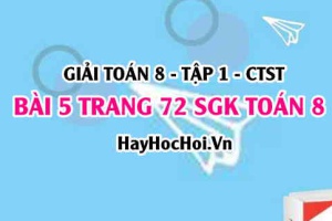 Giải bài 5 trang 72 Toán 8 Tập 1 SGK Chân trời sáng tạo